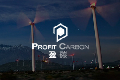 28河南盈碳環(huán)保技術(shù) 拷貝.jpg