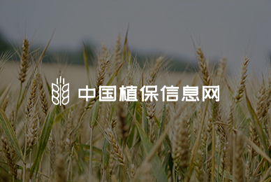 32中國(guó)植保信息網(wǎng) 拷貝.jpg