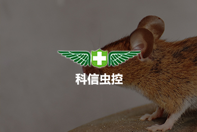 39科信蟲控(南陽)技術有限公司 拷貝.jpg