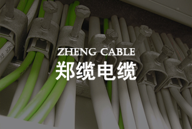 64鄭纜電纜 拷貝.jpg