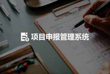 5.項目申報管理系統(tǒng).jpg
